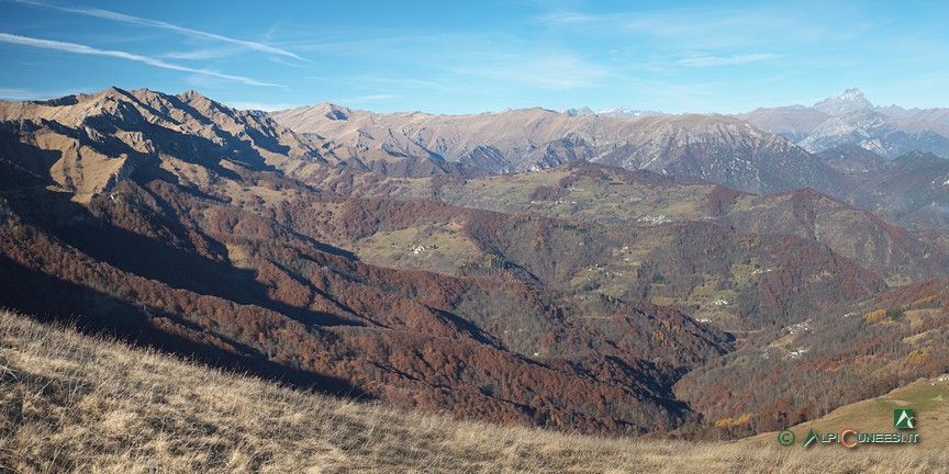 20 - Panorama da L'Alpe di Rittana sul Vallone di Comboscuro (2020)