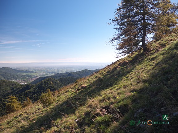 8 - Il ripidissimo crinale che scende dal Monte Cauri (2023)