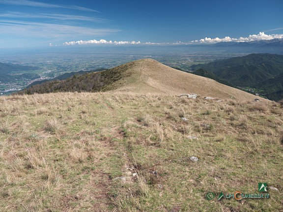 13 - L'arrotondata sommità del Monte Cauri dalla Punta del Mezzogiorno (2023)