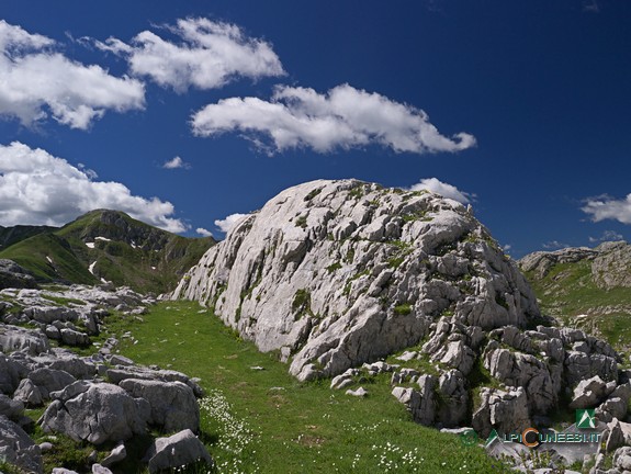 7 - Un tratto di sentiero tra rocce calcaree modellate dall'erosione (2014)