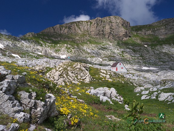14 - Die Hütte Capanna Morgantini verliert sich in den Kalkfelsen (2014)