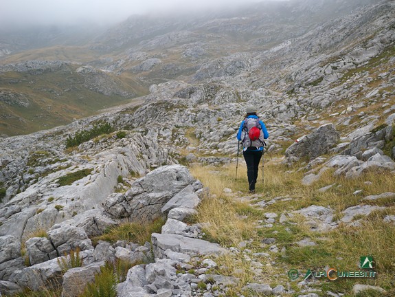 16 - La vecchia mulattiera militare, nota come 'Strada Cannoniera', poco dopo la partenza dal Rifugio Don Barbera (2014)