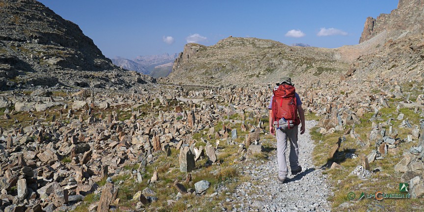 11 - Le pietre infisse nel terreno che circondano il sentiero nei pressi del Lago Bertin (2018)