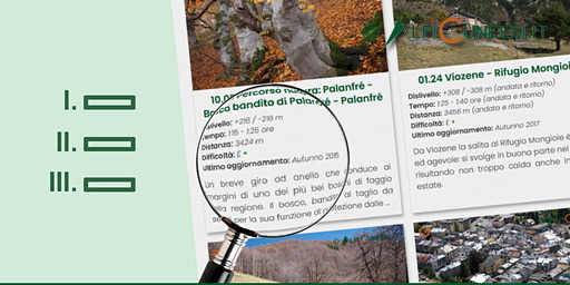 Ricerca semplificata Ricerca semplificata