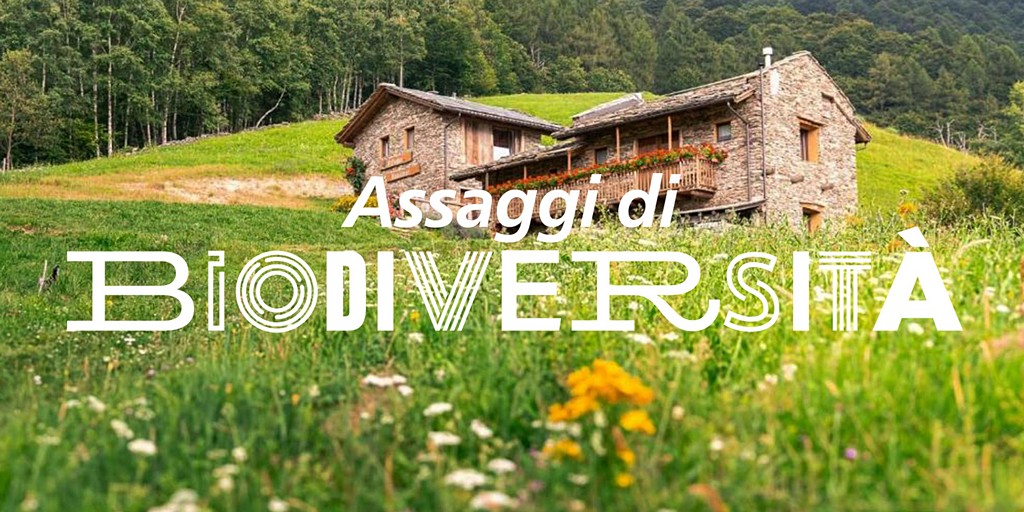 [Assaggi di Biodiversità] Sapori di selvaggina tra boschi e borgate